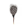 Seattle - Brackish Plum Thicket Feather Hat Pin