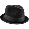 New York - Biltmore Fur Felt Stingy Brim Fedora Hat - BF5747
