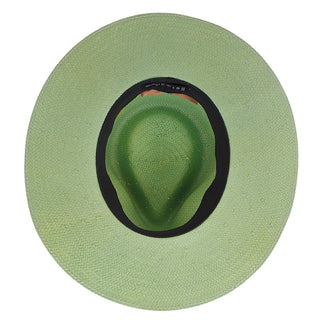 Geraldine - Betmar Paper Straw Fedora Hat